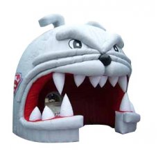 Inflatable Run Through